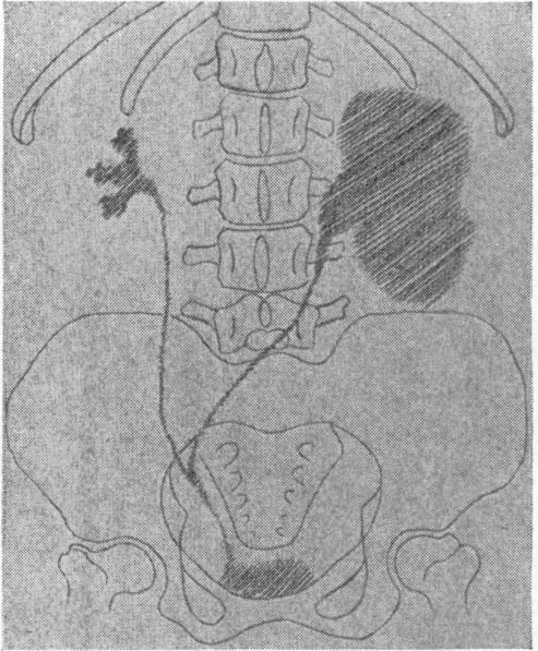 FIG. 7.