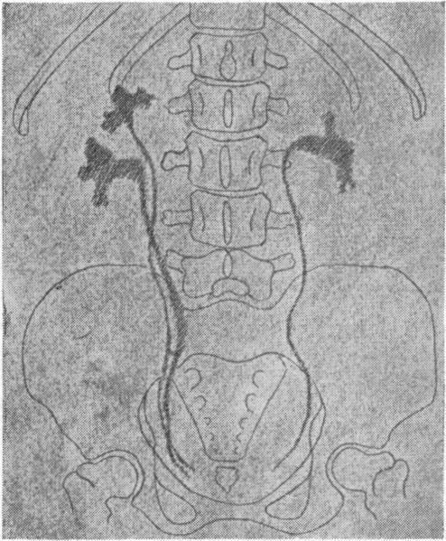 FIG. 5.