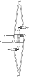 F<sc>igure</sc> 5.—