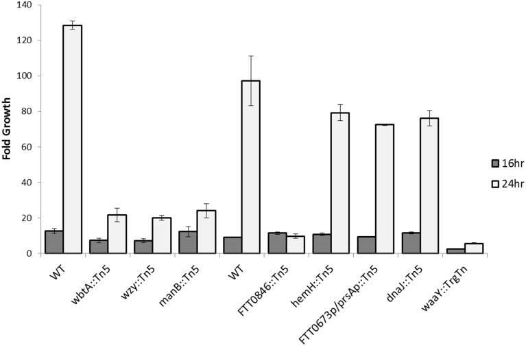 Figure 5