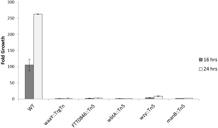 Figure 7