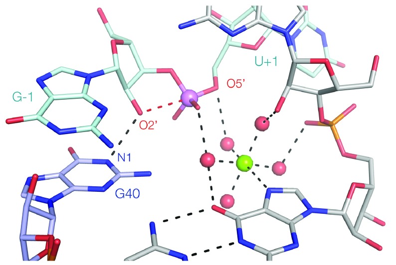 Figure 4. 