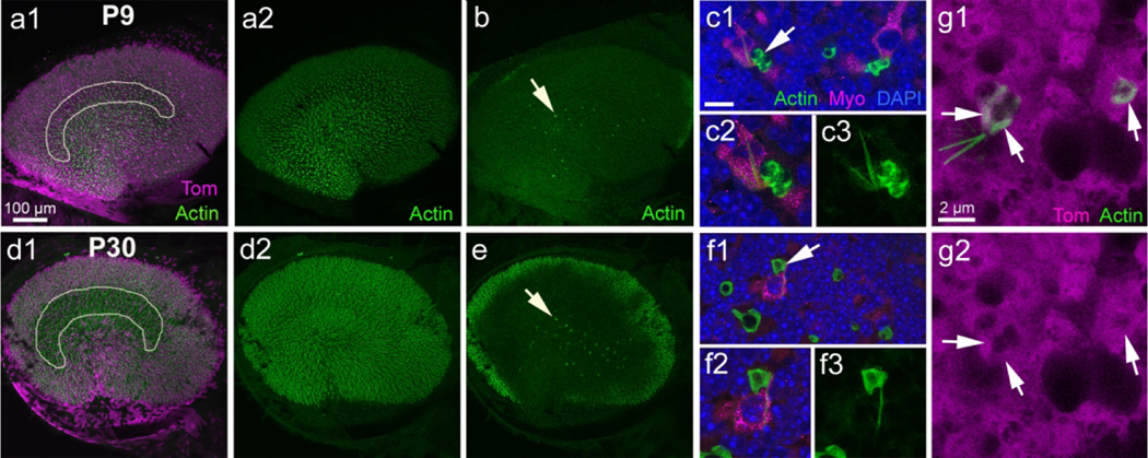 Figure 10