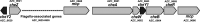 FIG 1