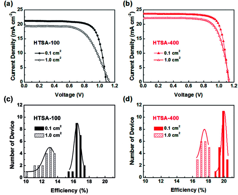 Fig. 19