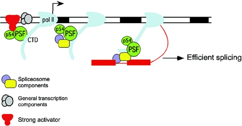 FIG. 6.