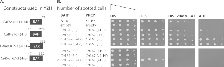 FIG 3