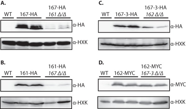 FIG 6