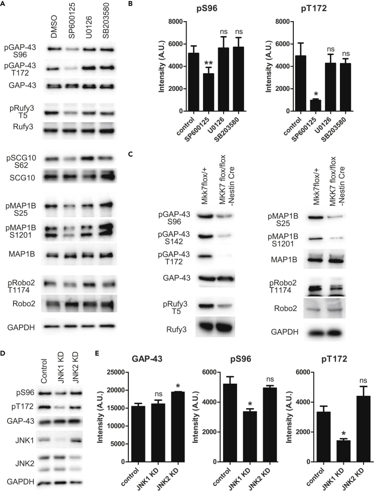 Figure 3