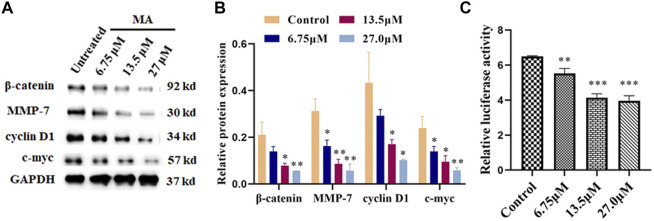 FIGURE 4