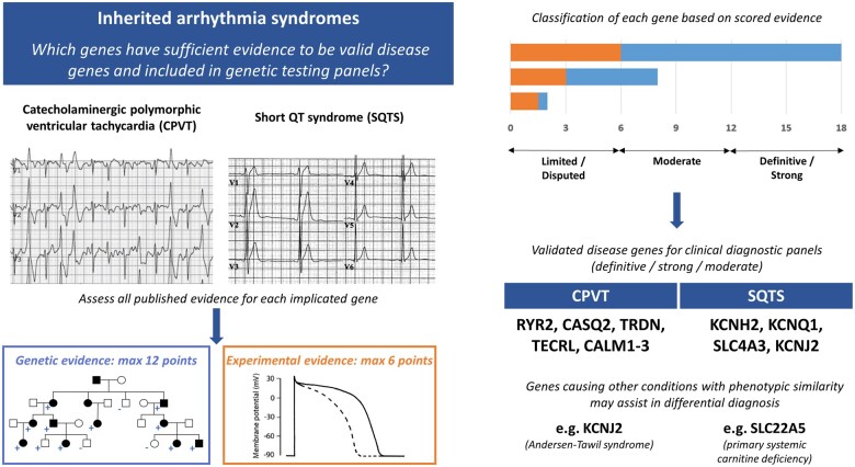 Graphical Abstract