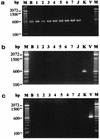 FIG. 5