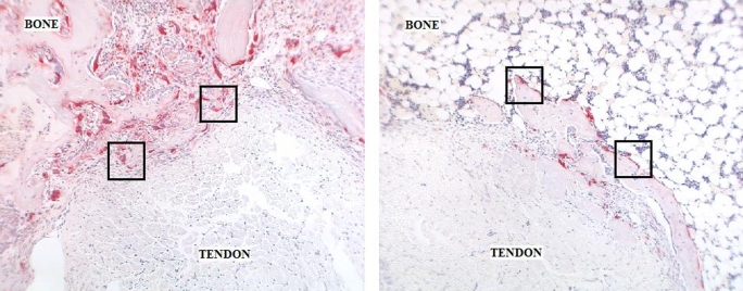 Fig. 7-A Fig. 7-B Fig. 7-C