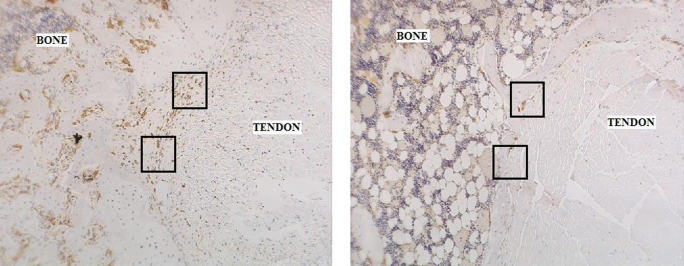 Fig. 4-A Fig. 4-B Fig. 4-C