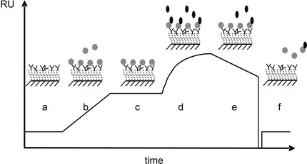 Fig. 42.2