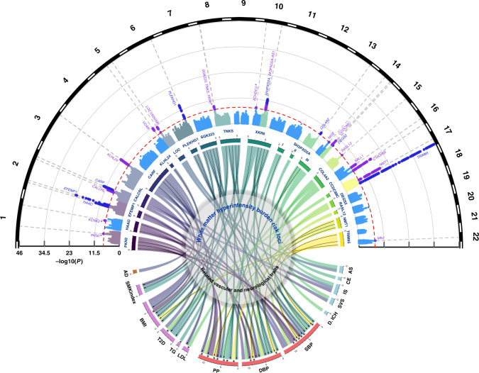 Fig. 2