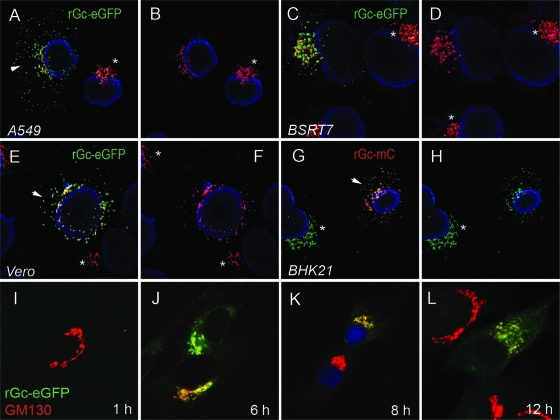 FIG. 7.