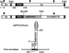 FIG. 1.