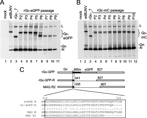 FIG. 4.