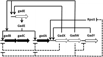 Fig. 8