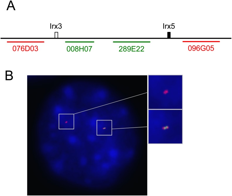 Fig. 3.