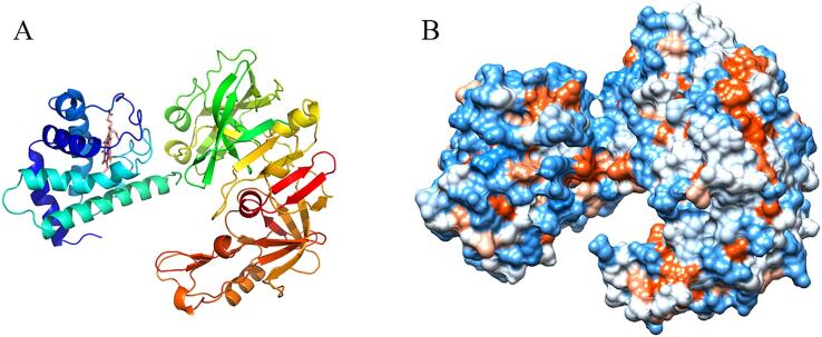 Fig. 4