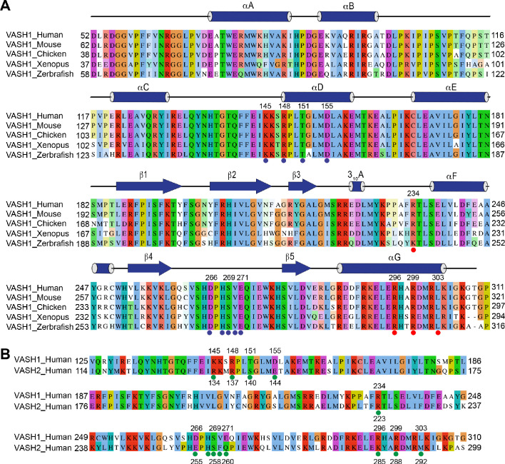 Figure 3—figure supplement 1.