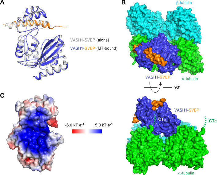 Figure 2—figure supplement 2.