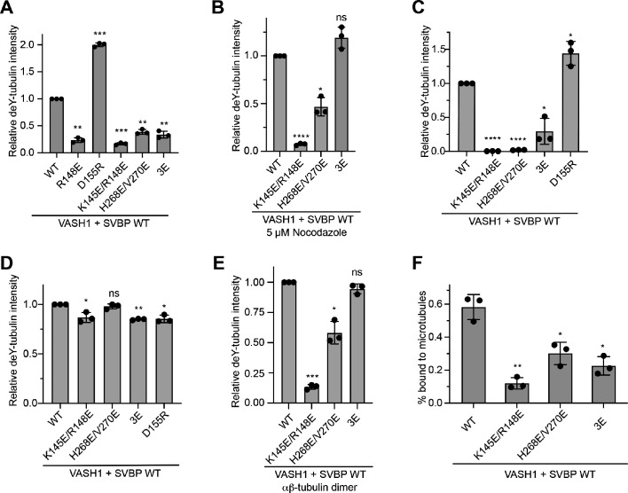 Figure 4—figure supplement 1.