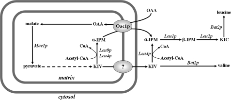 FIGURE 9.