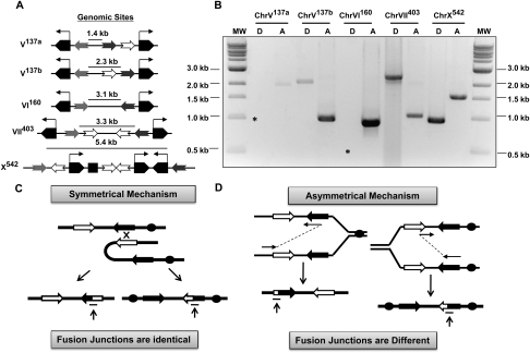 Figure 4.