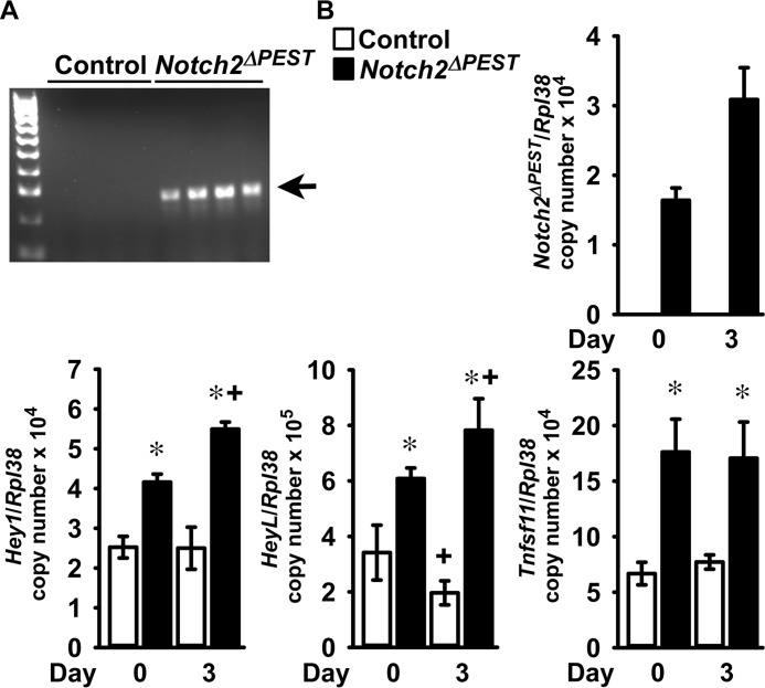 Figure 6.