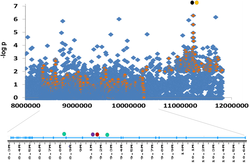 Figure 2.