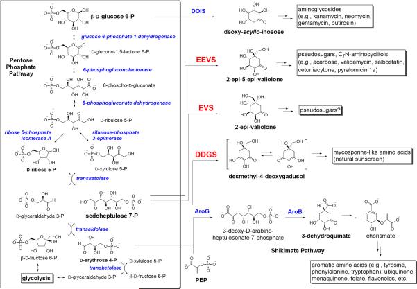 Scheme 2