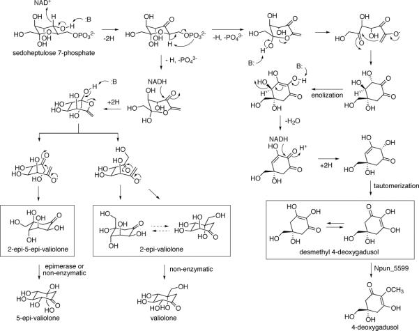 Scheme 3