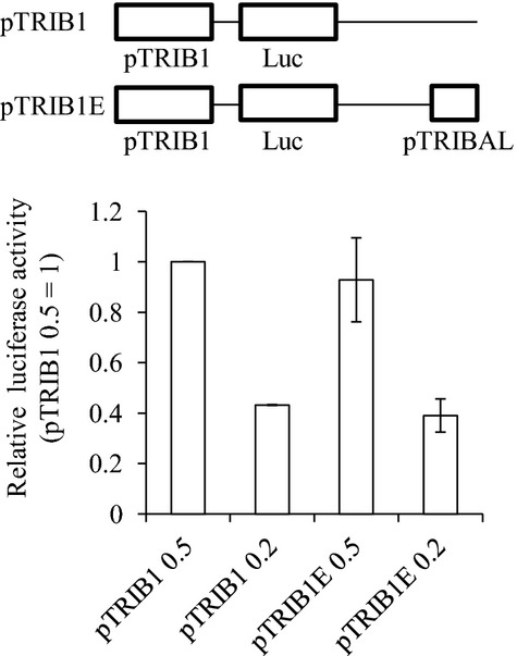 Figure 13.