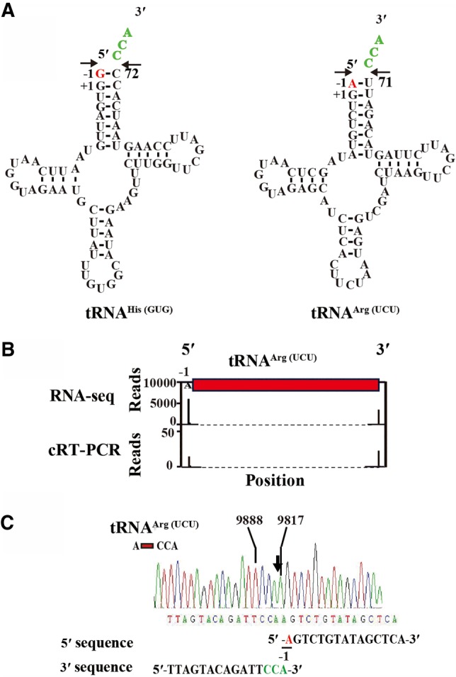 FIGURE 4.