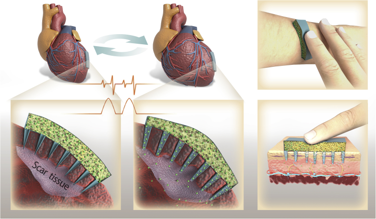 Figure 3