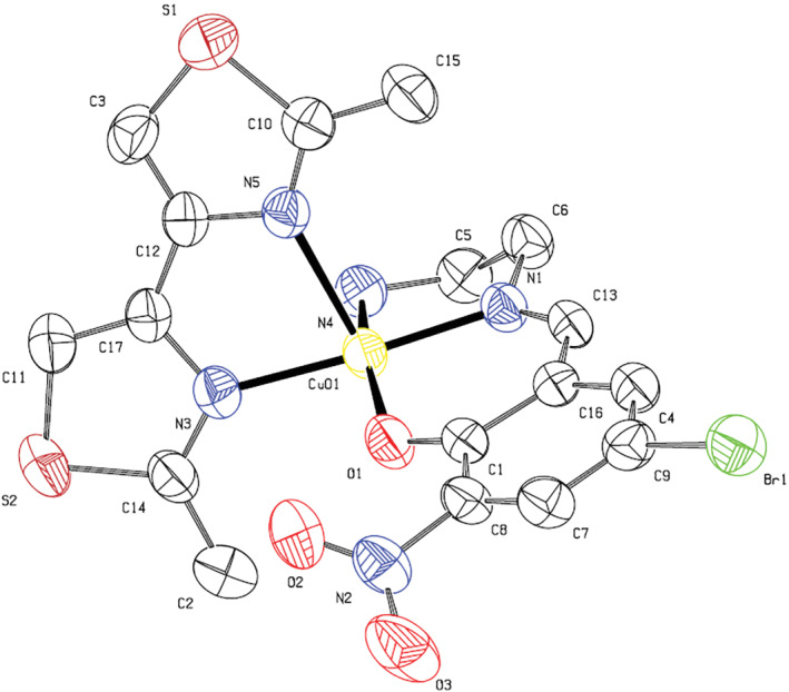 FIGURE 1