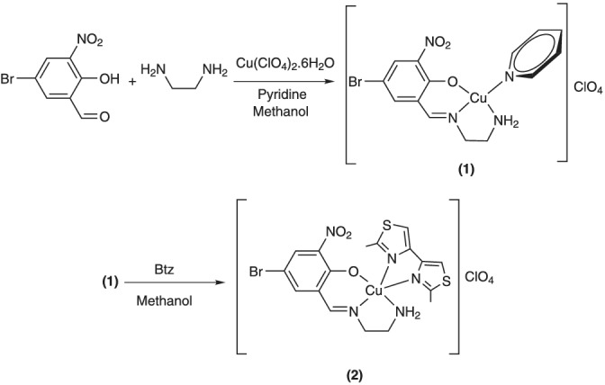 SCHEME 1