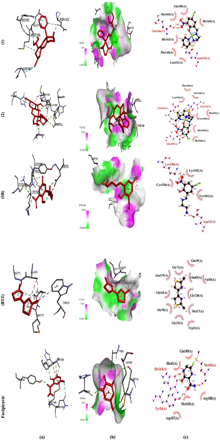 FIGURE 6