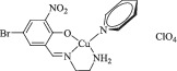 chemical structure image