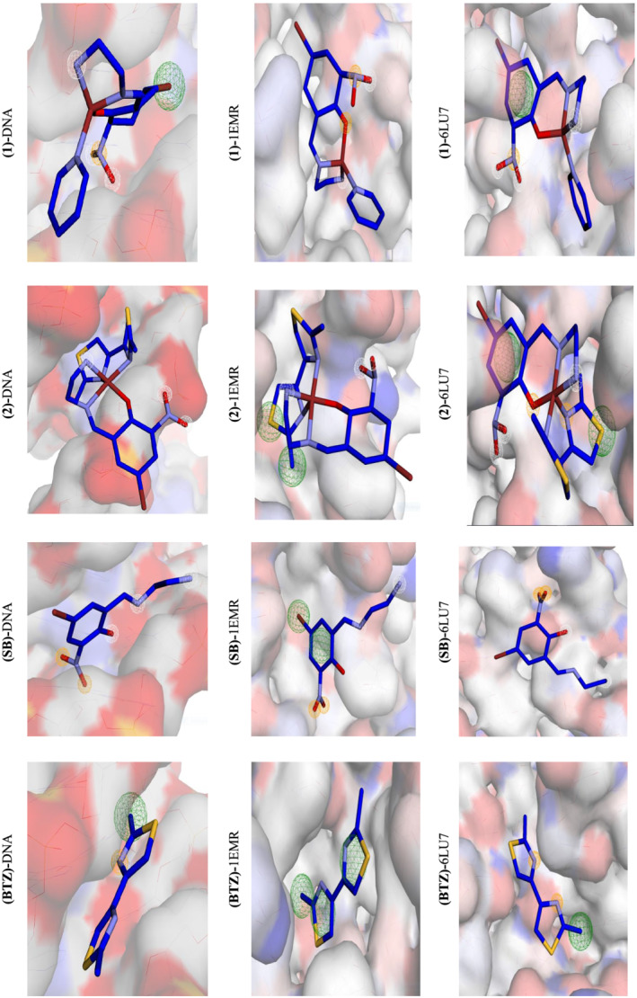 FIGURE 7