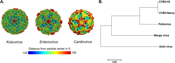 FIG 1