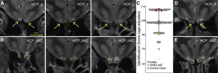 Figure 6