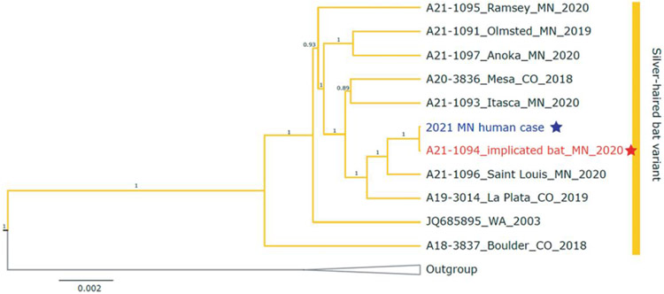 Figure 3.