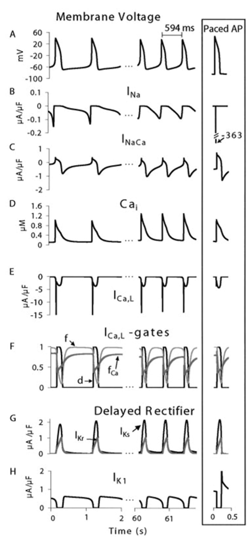 graphic file with name nihms17446f1.jpg