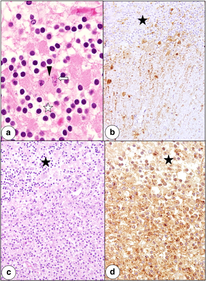 Fig. 5