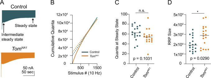 Figure 7—figure supplement 1.