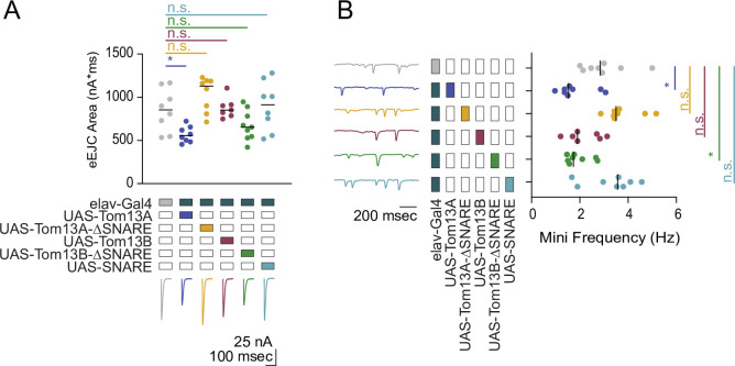 Figure 3—figure supplement 1.